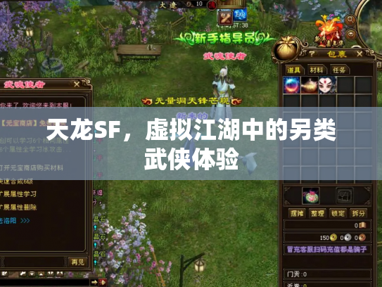 天龙SF，虚拟江湖中的另类武侠体验