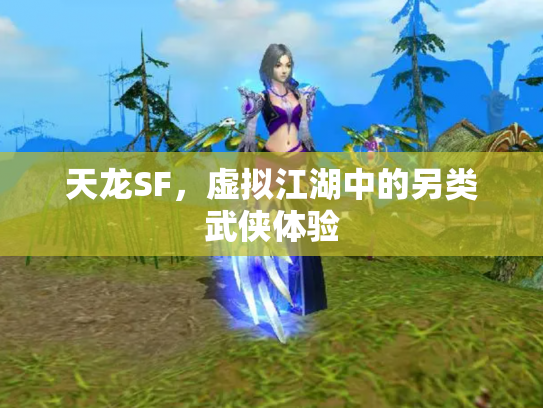 天龙SF，虚拟江湖中的另类武侠体验