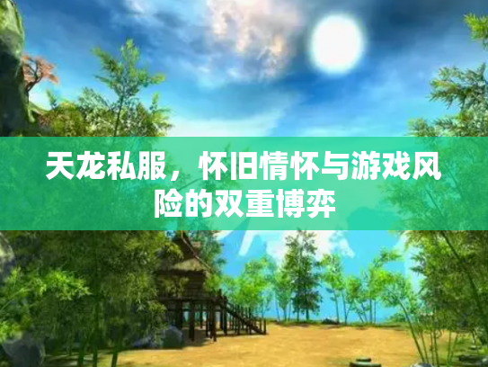 天龙私服，怀旧情怀与游戏风险的双重博弈