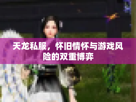 天龙私服，怀旧情怀与游戏风险的双重博弈