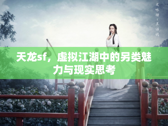 天龙sf，虚拟江湖中的另类魅力与现实思考