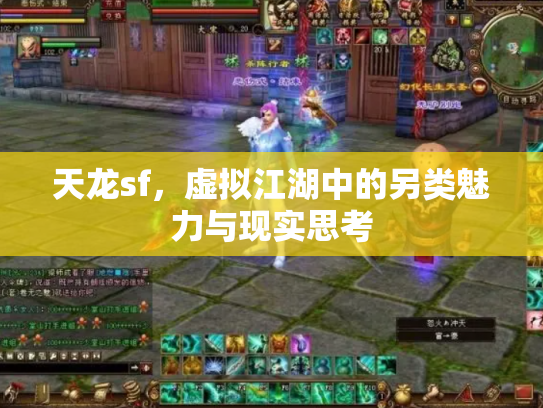 天龙sf，虚拟江湖中的另类魅力与现实思考