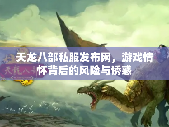 天龙八部私服发布网，游戏情怀背后的风险与诱惑
