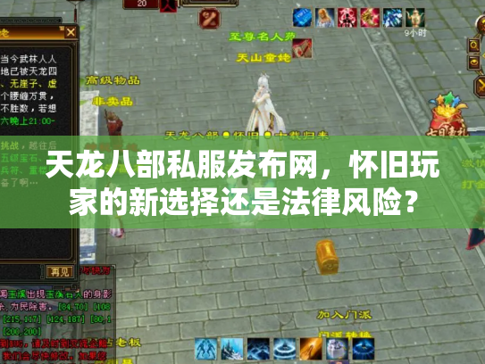 天龙八部私服发布网，怀旧玩家的新选择还是法律风险？
