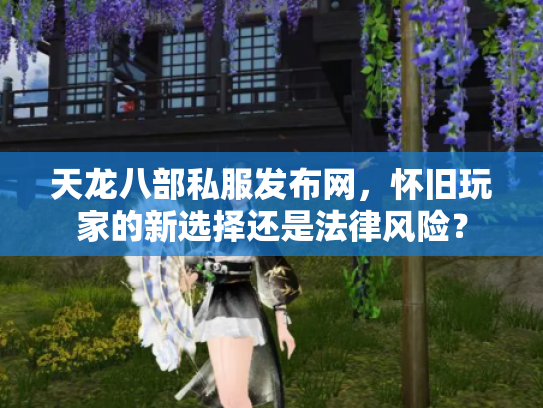 天龙八部私服发布网，怀旧玩家的新选择还是法律风险？