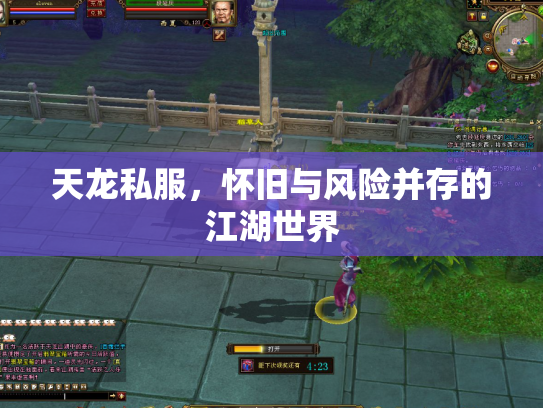 天龙私服，怀旧与风险并存的江湖世界