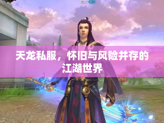 天龙私服，怀旧与风险并存的江湖世界