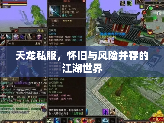 天龙私服，怀旧与风险并存的江湖世界