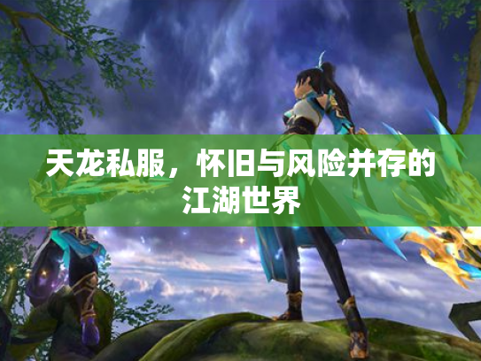 天龙私服，怀旧与风险并存的江湖世界