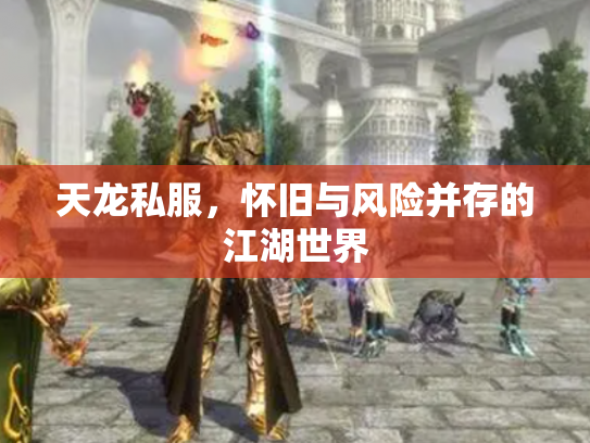 天龙私服，怀旧与风险并存的江湖世界