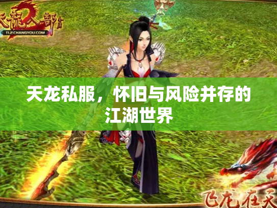 天龙私服，怀旧与风险并存的江湖世界