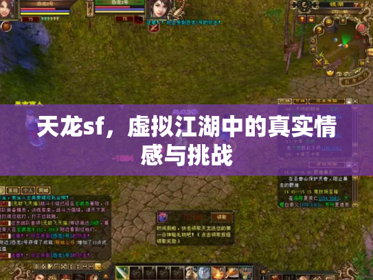 天龙sf，虚拟江湖中的真实情感与挑战
