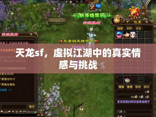 天龙sf，虚拟江湖中的真实情感与挑战