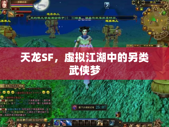 天龙SF，虚拟江湖中的另类武侠梦
