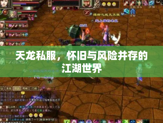 天龙私服，怀旧与风险并存的江湖世界