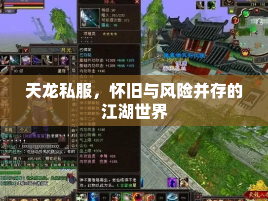 天龙私服，怀旧与风险并存的江湖世界