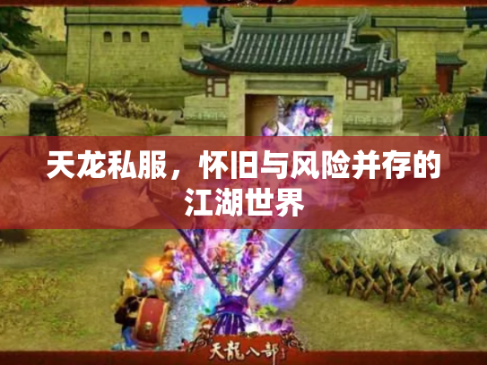 天龙私服，怀旧与风险并存的江湖世界