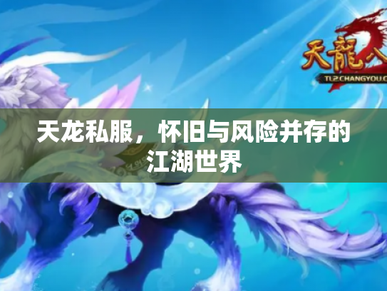 天龙私服，怀旧与风险并存的江湖世界