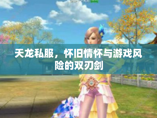 天龙私服，怀旧情怀与游戏风险的双刃剑