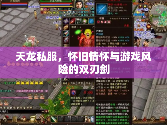 天龙私服，怀旧情怀与游戏风险的双刃剑
