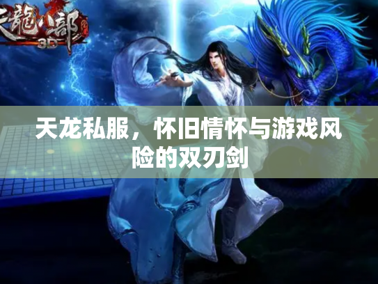 天龙私服，怀旧情怀与游戏风险的双刃剑