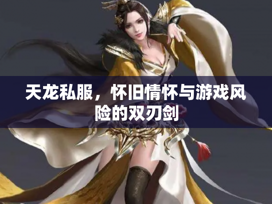 天龙私服，怀旧情怀与游戏风险的双刃剑