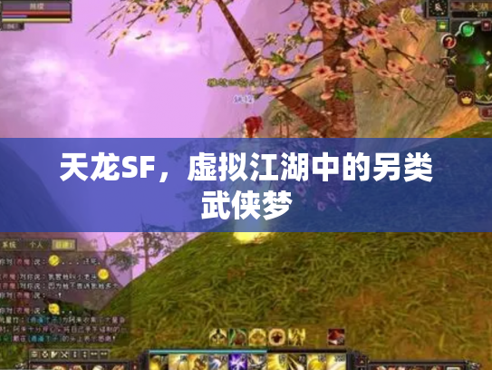 天龙SF，虚拟江湖中的另类武侠梦