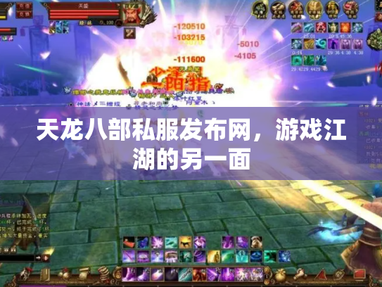 天龙八部私服发布网，游戏江湖的另一面