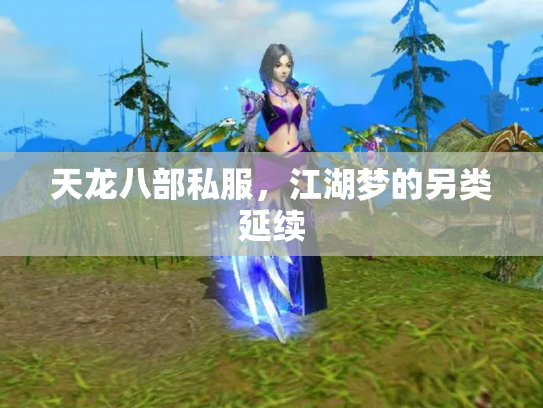 天龙八部私服，江湖梦的另类延续