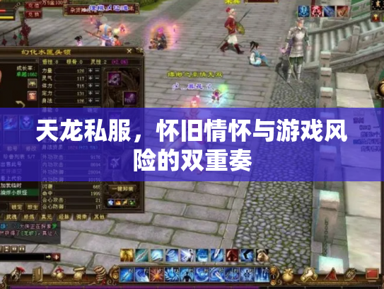 天龙私服，怀旧情怀与游戏风险的双重奏