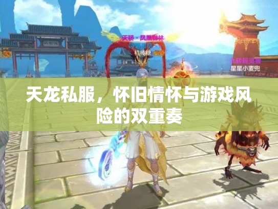 天龙私服，怀旧情怀与游戏风险的双重奏