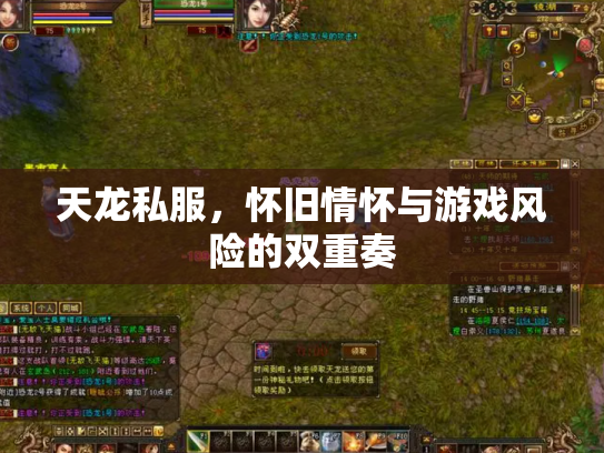 天龙私服，怀旧情怀与游戏风险的双重奏