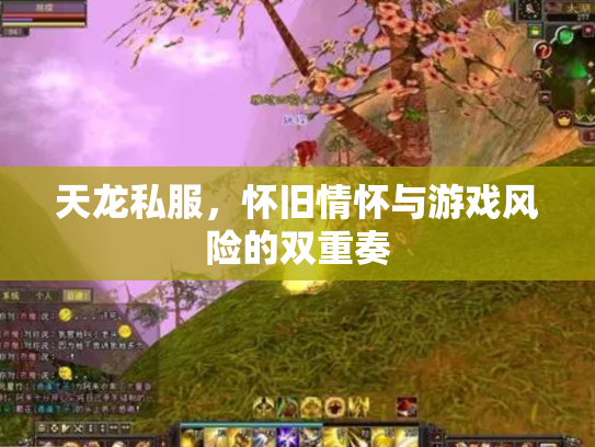 天龙私服，怀旧情怀与游戏风险的双重奏