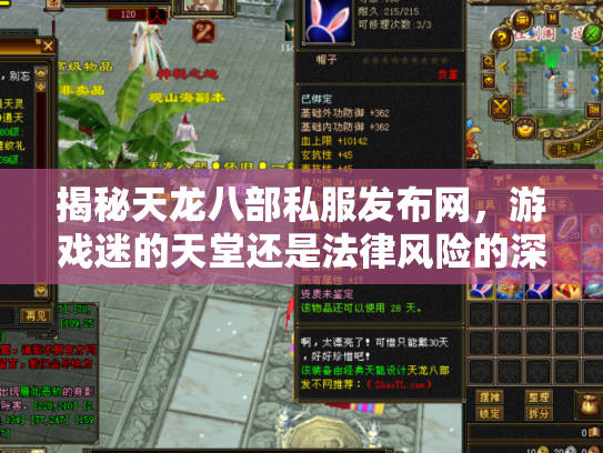 揭秘天龙八部私服发布网，游戏迷的天堂还是法律风险的深渊？