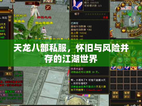 天龙八部私服，怀旧与风险并存的江湖世界