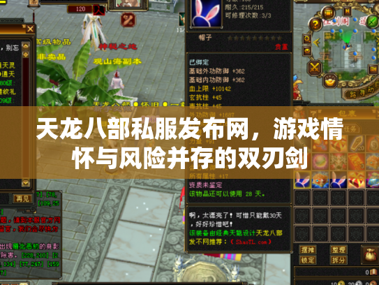 天龙八部私服发布网，游戏情怀与风险并存的双刃剑