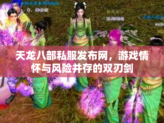天龙八部私服发布网，游戏情怀与风险并存的双刃剑