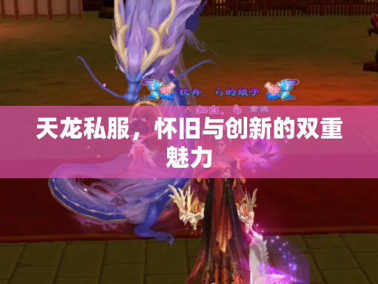 天龙私服，怀旧与创新的双重魅力
