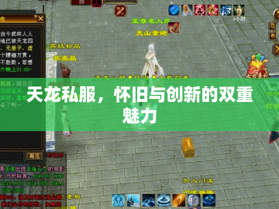 天龙私服，怀旧与创新的双重魅力