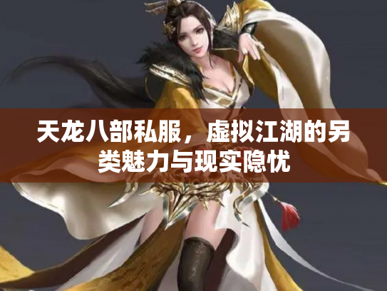 天龙八部私服，虚拟江湖的另类魅力与现实隐忧