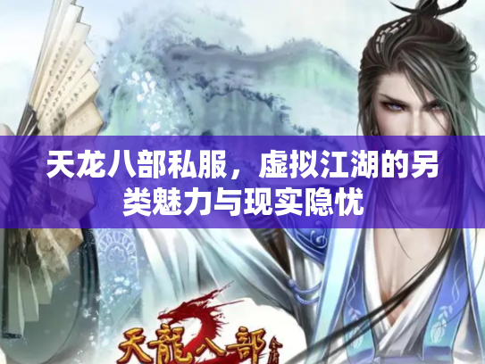 天龙八部私服，虚拟江湖的另类魅力与现实隐忧