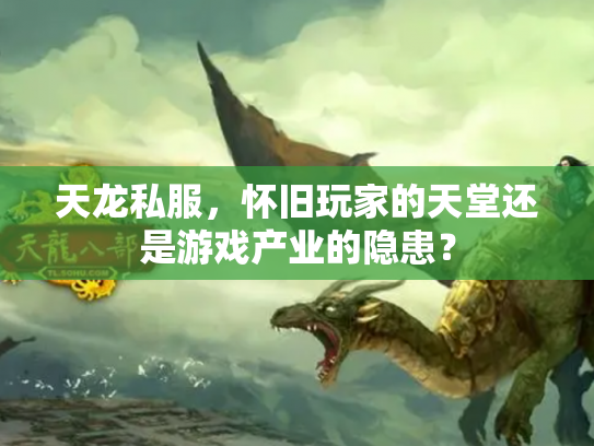 天龙私服，怀旧玩家的天堂还是游戏产业的隐患？