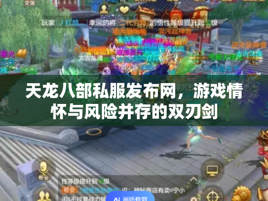 天龙八部私服发布网，游戏情怀与风险并存的双刃剑