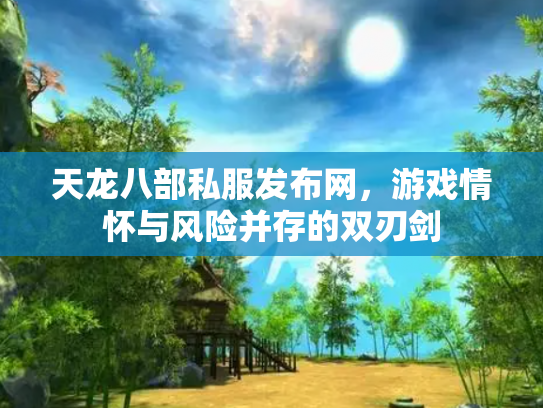 天龙八部私服发布网，游戏情怀与风险并存的双刃剑