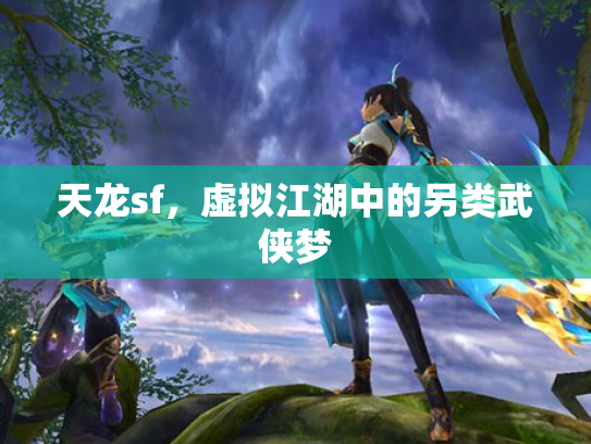 天龙sf，虚拟江湖中的另类武侠梦