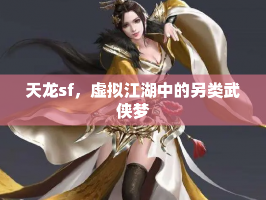 天龙sf，虚拟江湖中的另类武侠梦