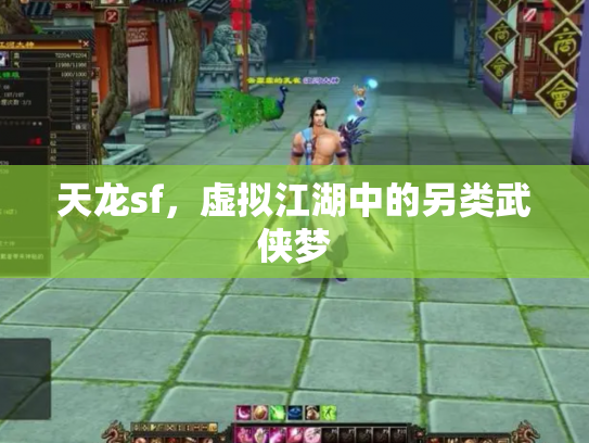 天龙sf，虚拟江湖中的另类武侠梦