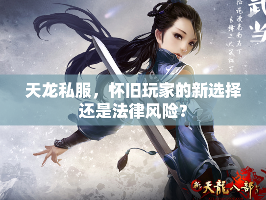 天龙私服，怀旧玩家的新选择还是法律风险？