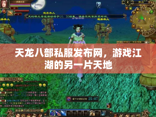 天龙八部私服发布网，游戏江湖的另一片天地