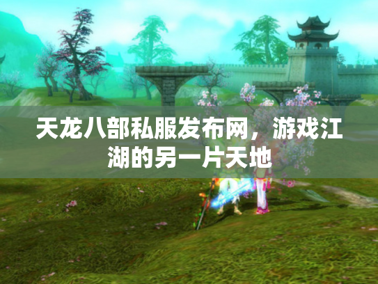 天龙八部私服发布网，游戏江湖的另一片天地